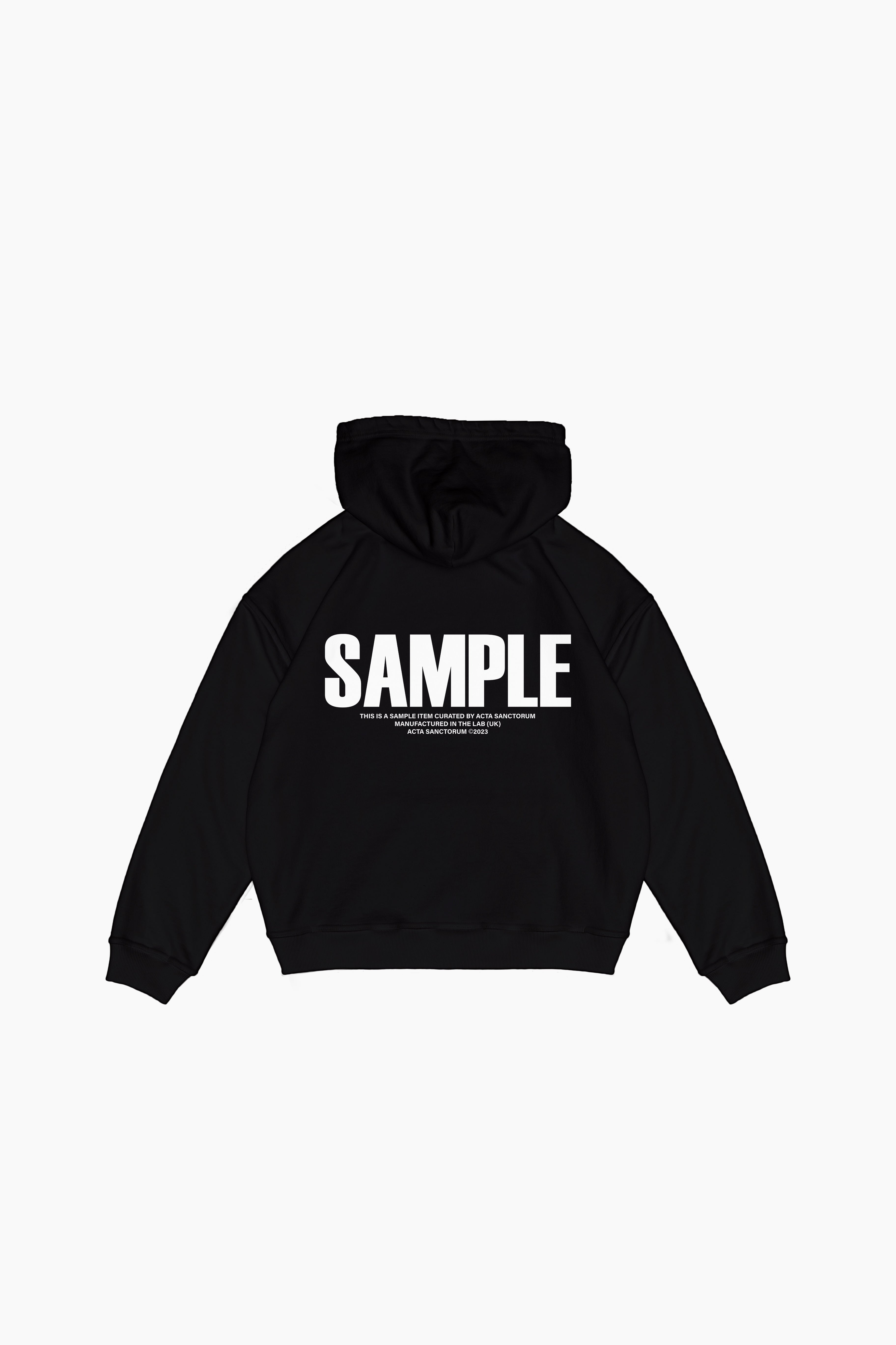 SAMPLE 005