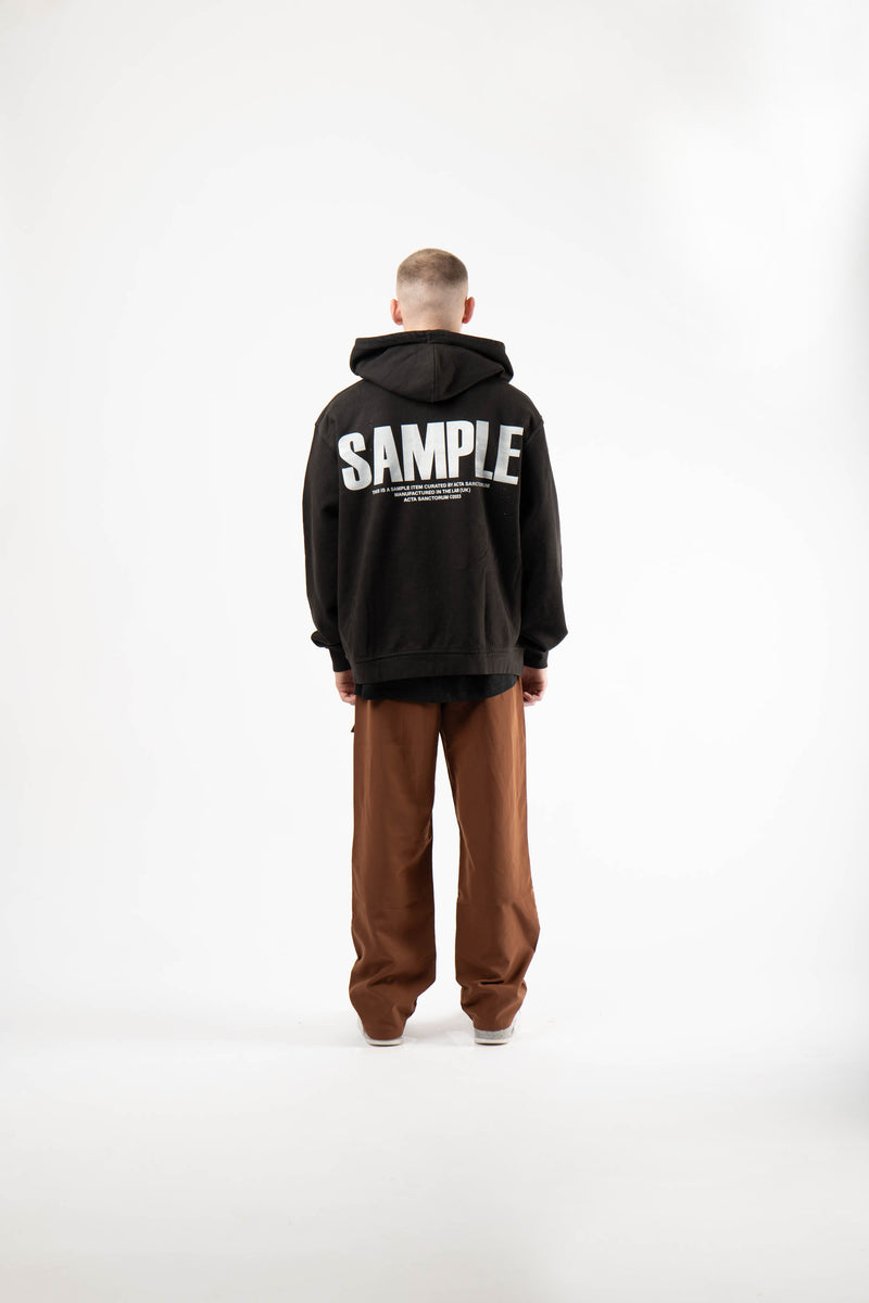 SAMPLE 005